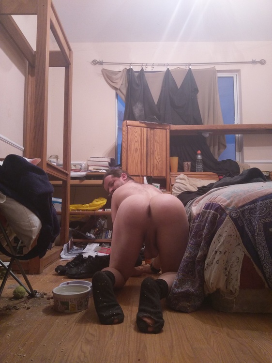 2017-01-03 07.19.07.jpg