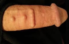 ribbed for  his pleasure
