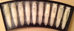 cum pops anyone ?