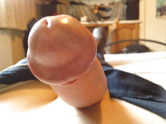 shiny knob