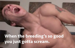 Some fuckers were just born to breed.