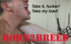 Some fuckers were just born to breed.