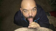 pic_17_big.jpg