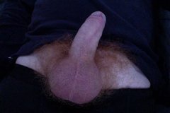 morning wood
