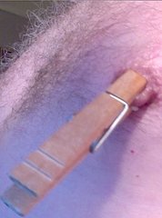 nip.jpg