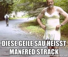 geile sau3.jpg