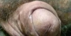 IMG_20180425_150201.jpg