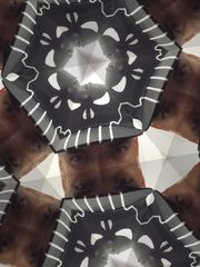 680940EA-A2B8-4E8A-86F4-C04EC943C4A4.jpeg
