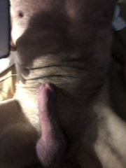 D1F0AC37-E7E8-41D1-A71C-A2BB72BB2E32.jpeg