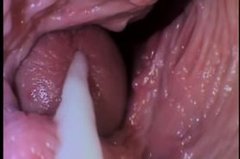19_178560l.jpg