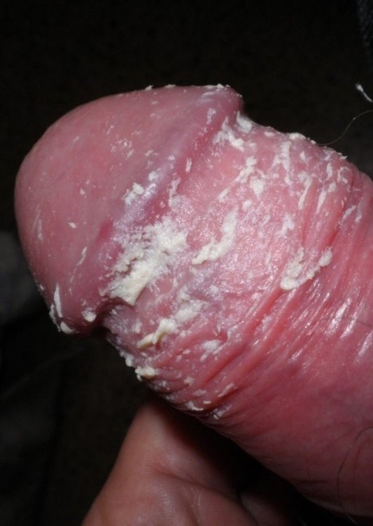 Screen Shot 2018-08-18 at 7.01.40 AM.jpg