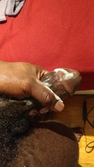 20170305_215748.jpg