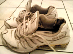 shox2.JPG