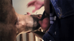 tumblr_ph5whlh3yl1w7mqdqo1_400.gif