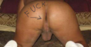 Latin Bottom 4 breeding