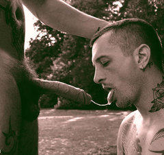 tumblr_mekl27jELm1qhcd1ho1_500.jpg