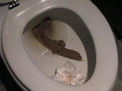 113978_9f462025-2350-4e8c-87c7-4a37c636565a_prod.jpg