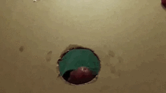 at gloryhole