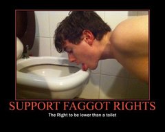 tumblr_oxwd6dMnHO1w1vc5oo1_540.jpg