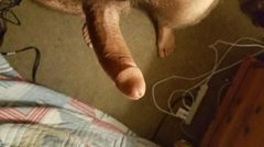 805529500_1252.jpg