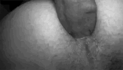 tumblr_plreo9eD671tvbs81_540.gif