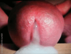 CUM3.gif