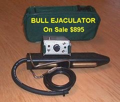 Ejaculator Bull.jpg