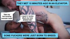 Screen Shot 2017-03-24 at 5.22.51 PM.png