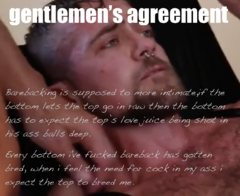 More text from this site