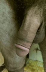 bdsmlr-16563-AiIDxhIkbt.gif