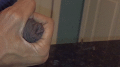 tumblr_pmcjex4Lrx1t8palc_540.gif