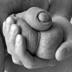 bdsmlr-644538-g2gmCAxz1V.jpg