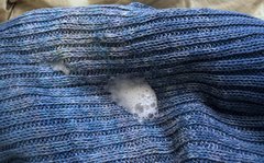 IMG_2626.jpeg
