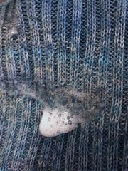 IMG_3785.jpeg