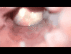 20190312_040958