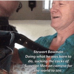 Stewart Bowman another blowjob.GIF