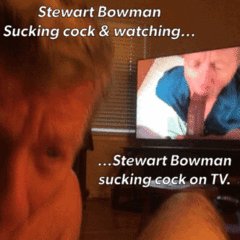 stewart bowman on TV sucking cock.GIF