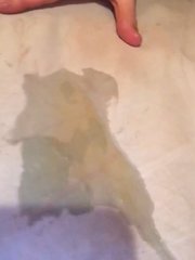 48D09948-F452-4FFD-8E55-B5F474AAC352.jpeg