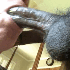 IMG_5170.GIF