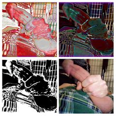 20190307_215047-COLLAGE.jpg