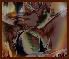 PicsArt_04-13-01.27.51.jpg