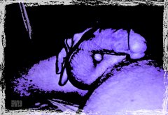 PicsArt_04-27-06.21.35.jpg
