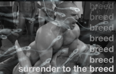 Surrender