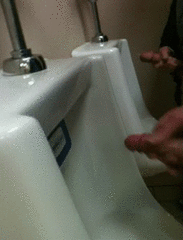 tumblr_n0g41f3DBR1s5kppio1_250[1].gif