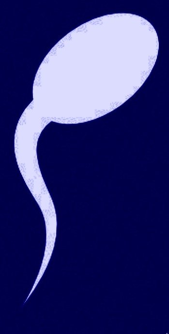 Parrot10