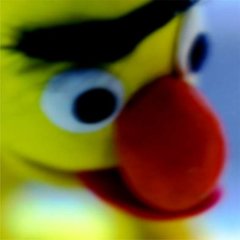 BERT-ERNIE06