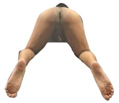 asspng2.png