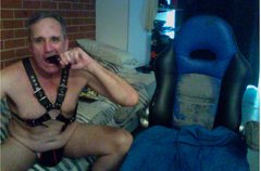 harness.jpg