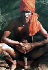 indigenous