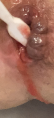 3969576E-7D60-4D2D-807E-93BC35832F8F.png